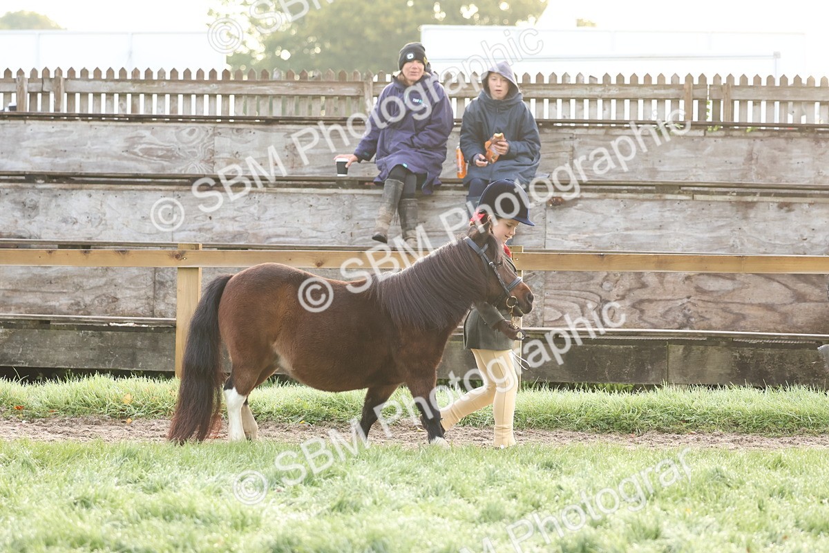 SBM_54480 - S38 - Starters Best Turnout