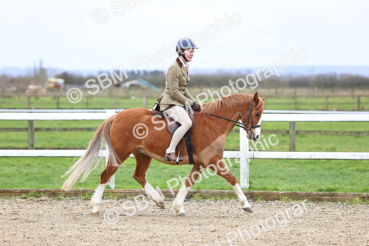 SBM_006768 - Class 29 - 30 - M&M Pure Novice Small-Large Breeds