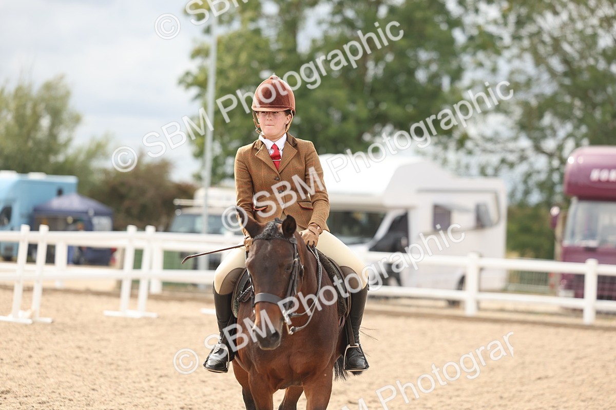 SBM_18057 - Class 314 - Family Horse Pony