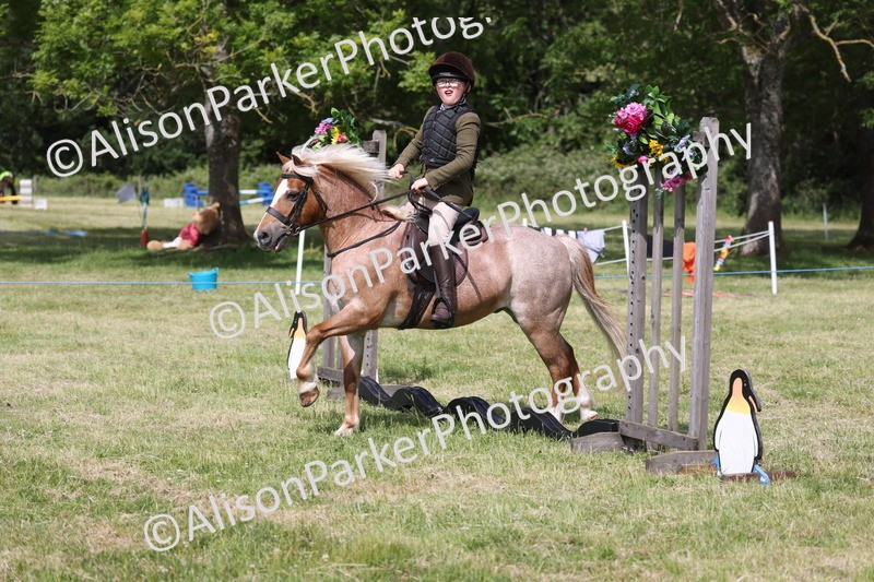 20260614-0751 - Class 20 - Beginners Working Hunter Pony