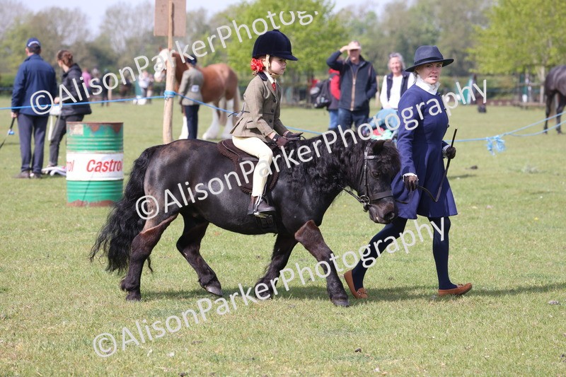 20260426-0594 - Class 31 - Leading Rein