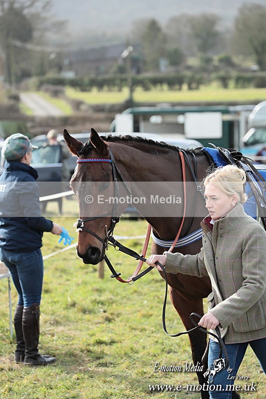 PtP 220225 403 - Kimblewick Point-to-Point  Kingston Blount 22/02/25