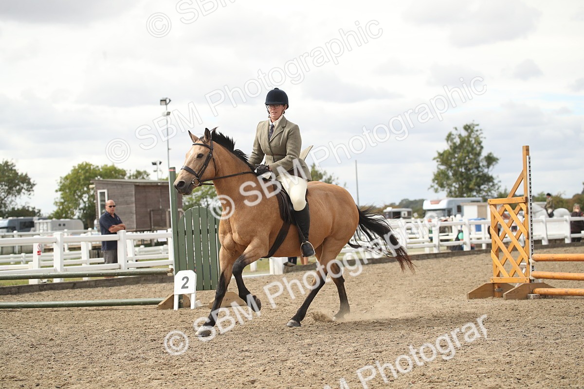 SBM_16599 - Class 507a - Working Veteran - 60cm (15-19)