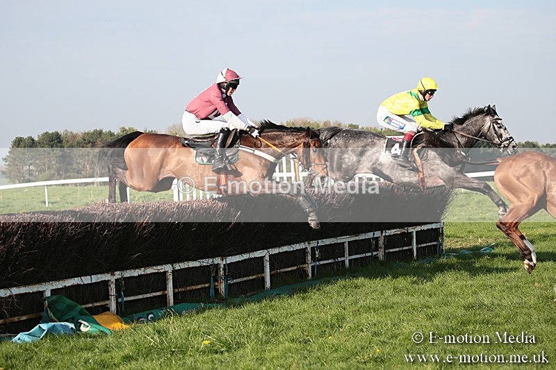 PtP 210418 614 - South & West Wilts Point-to-Point Larkhill 21/04/18