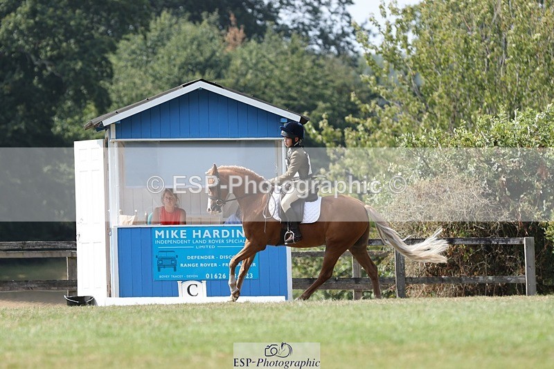 250823A-135550-31393 - Arena D