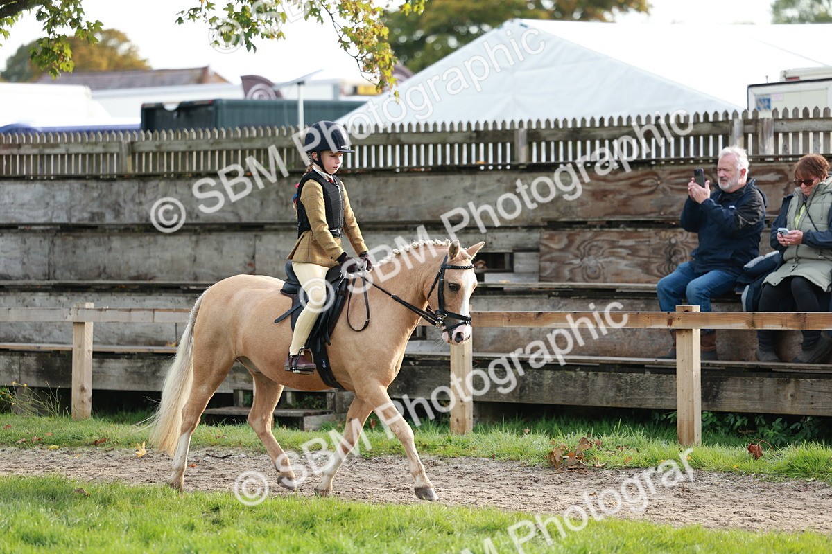 SBM_56328 - S39 - Starters In Hand Showing