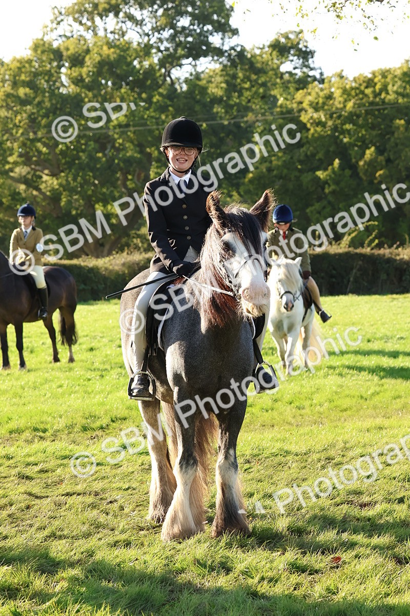 SBM_52655 - S13 - Pony Club Pony