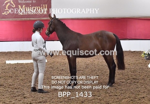 BPP_1433 - MORNING 9AM - 12PM