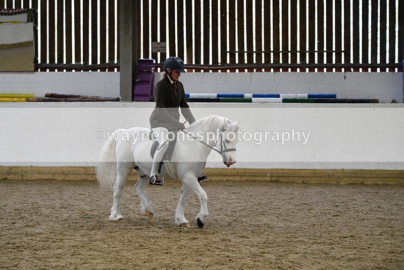 WJ5_6264 - Class 9 Ridden Veteran