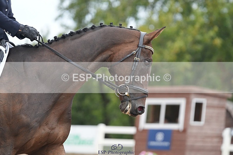 250907-124718-07415 - 097-Jude.FarrLoch.Arthur