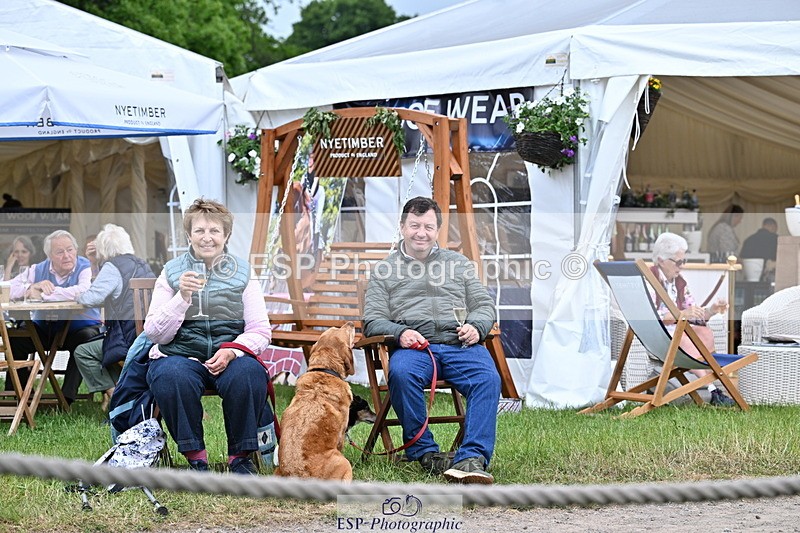 250524A-124233-11021 - Western Counties Crowds