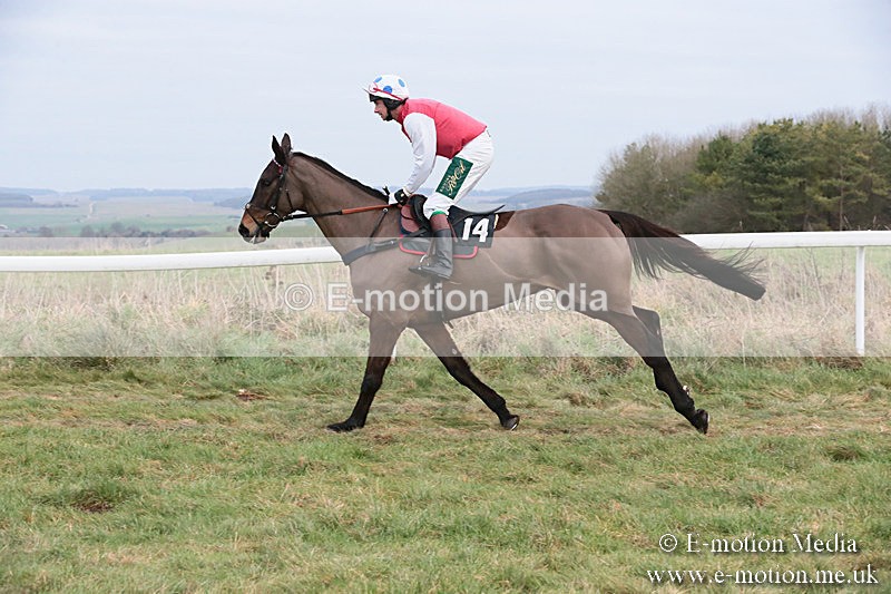 PtP 060119 217 - Larkhill Racing Club - Point-to-Point- 06/01/2019