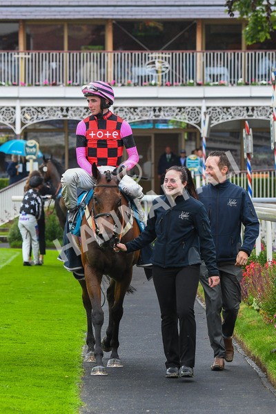 140723-Race 4-Andaleep-0422 - Race 4 3.50pm Azets Handicap