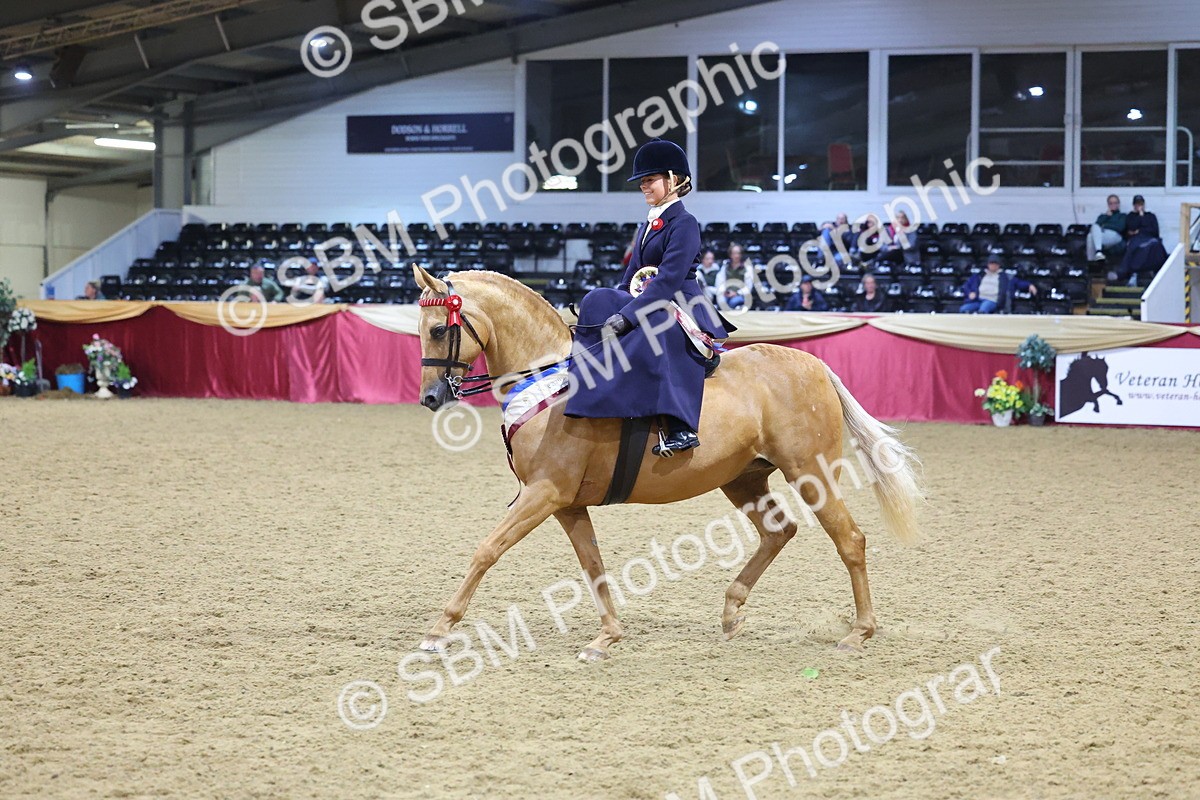 0B8A4266 - Class L Side Saddle Champ