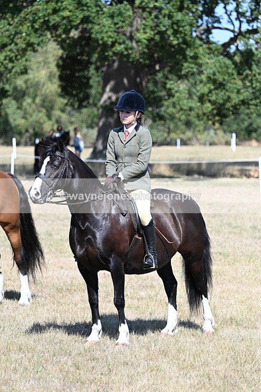 WJ7_4124 - Class 9 Mountain & Moorland Ridden