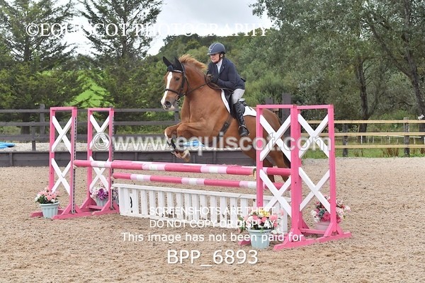 BPP_6893 - CLASS 2 Senior British Novice/ 90cm Open