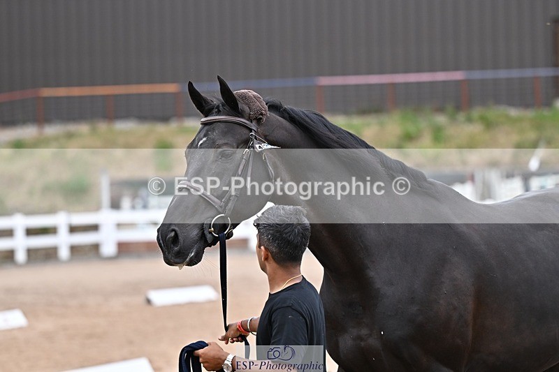 250716-165923-00788 - Trot Up 4.30 to 5.00
