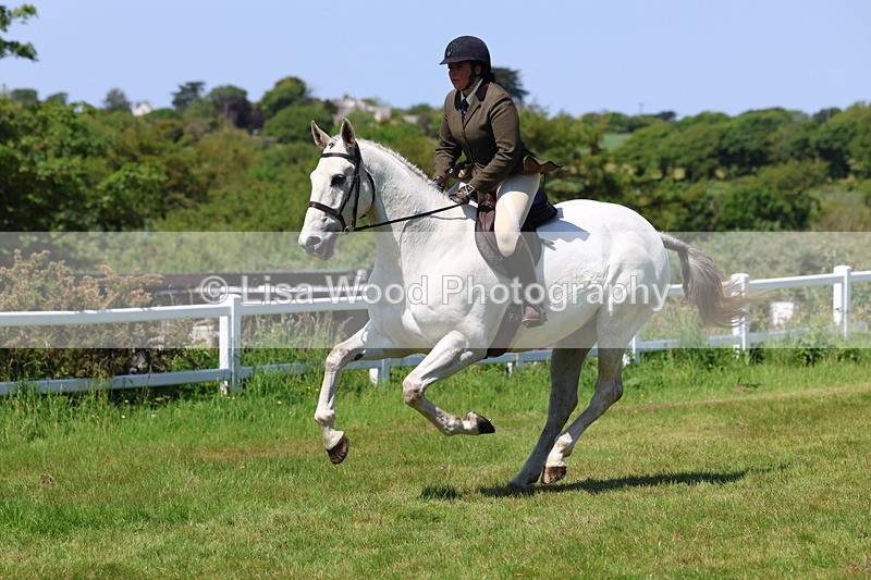 3E7A8104 - Working Hunter Championship