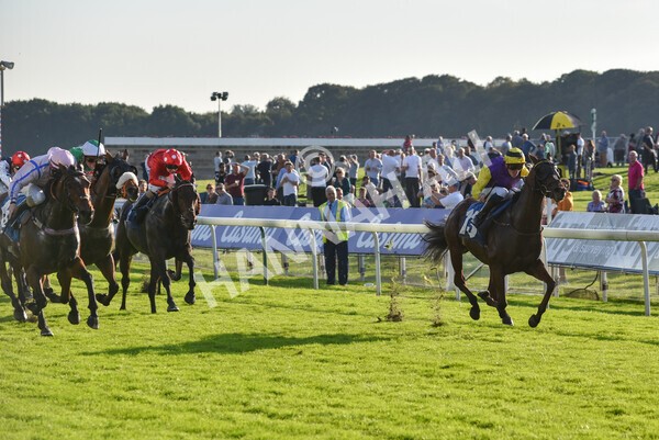 yr08102021r5-18 - Race 5 4.20pm Copper Knight - Winning Most Horse At York Handicap