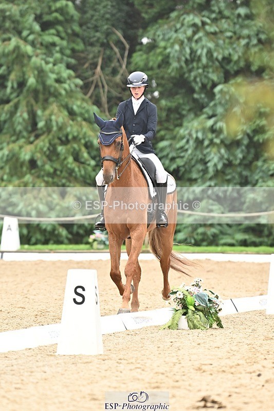 240811-113438-05208 - 208-Tom.Carter-Rubin.Regal