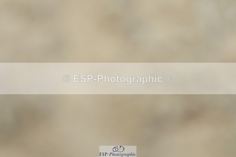 230702A-132042-09493 - Cls 29 Elementary 57