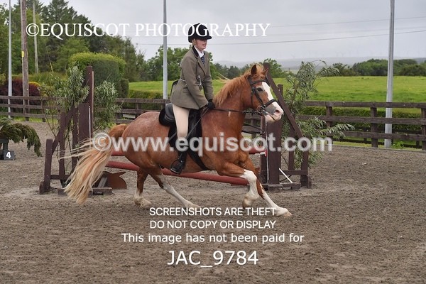 JAC_9784 - CLASS 2 Novice Working Hunter (0.60m - 0.70m)