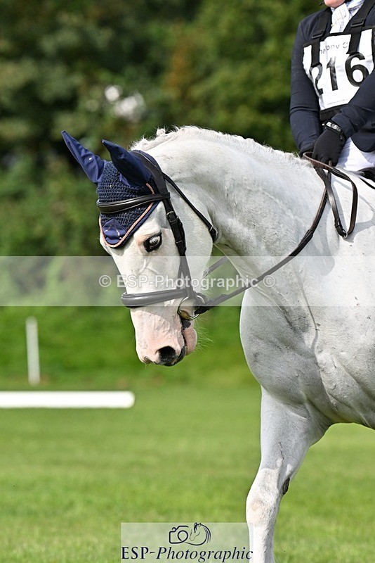 230826-104949-16732 - Sections A & B 10 to End