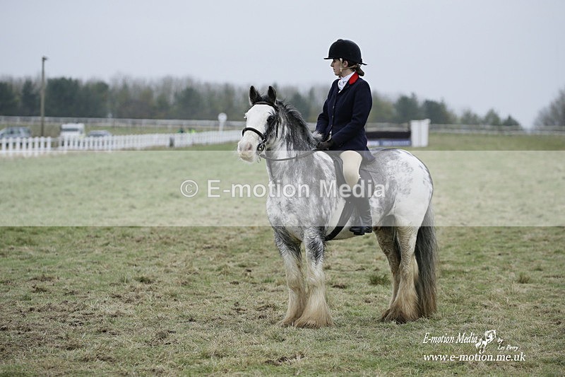 PtP 220122 271 - Royal Artillery Hunt Point-to-Point  - Larkhill Racecourse 22/01/22