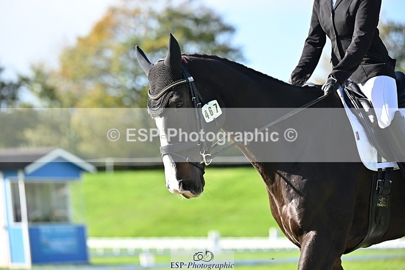 251024A-120127-09493 - F-467-Shareen.Akhtar