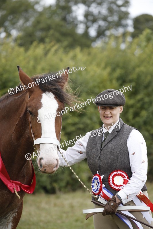 20250831-4503 - SUPREME CHAMPIONSHIP