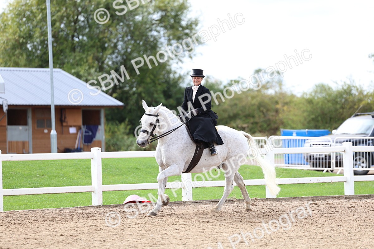 SBM_03427 - Class 24 - SSA Concours d'elegance (any age)