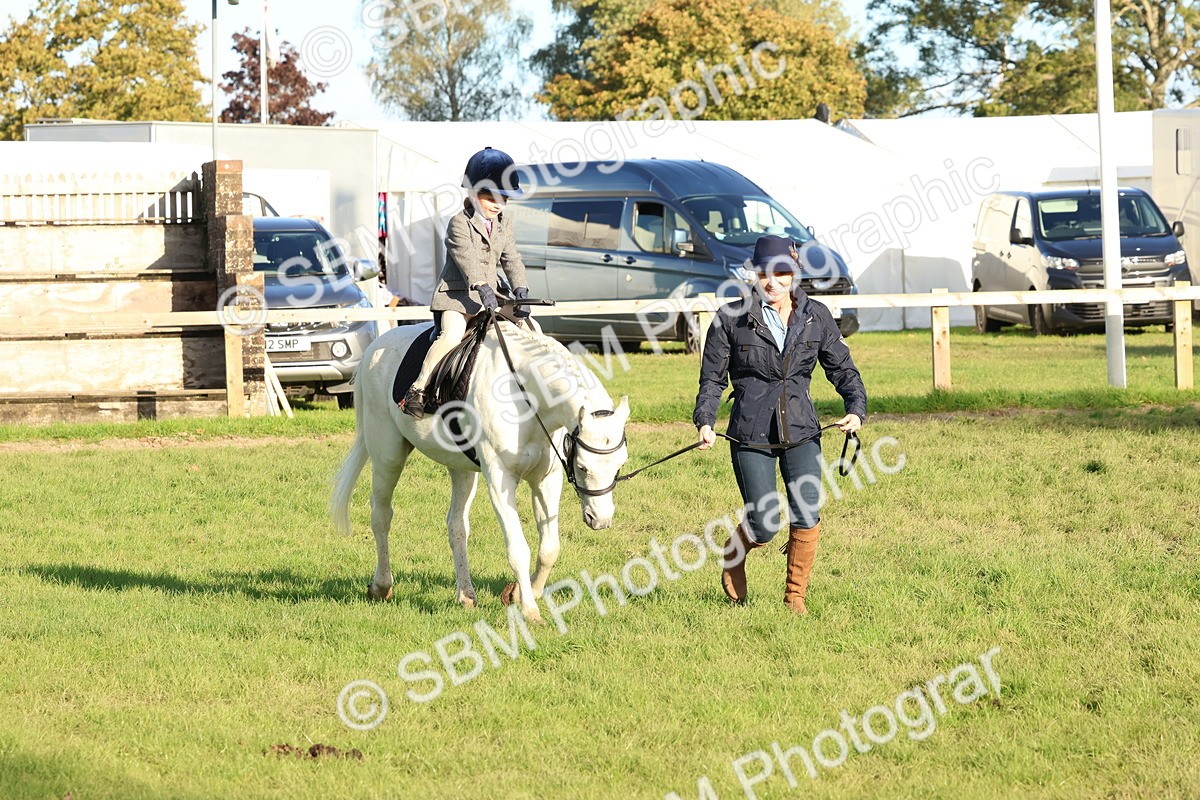 SBM_53032 - S29 - Mature Veteran Ridden