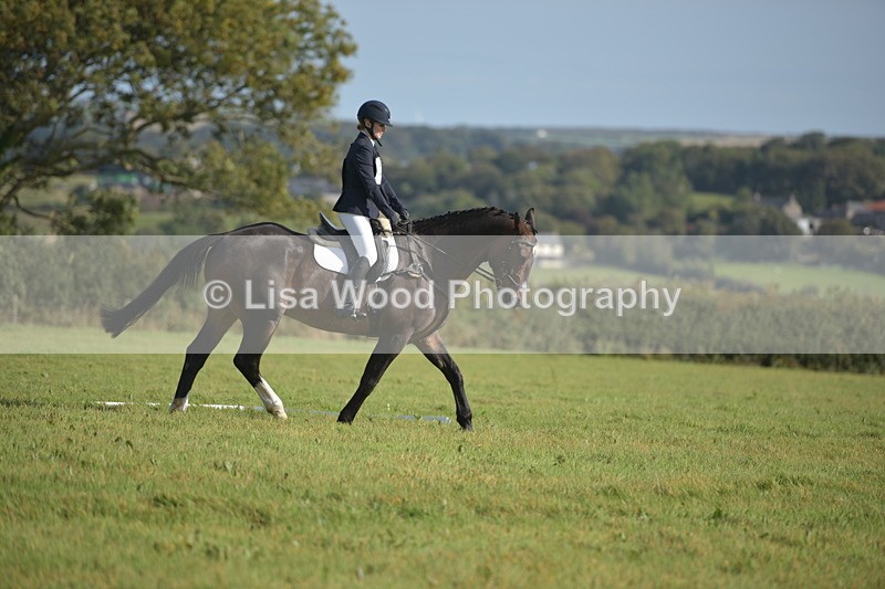 RAY_7481 - Class 2B: Trekenning Open: Dressage