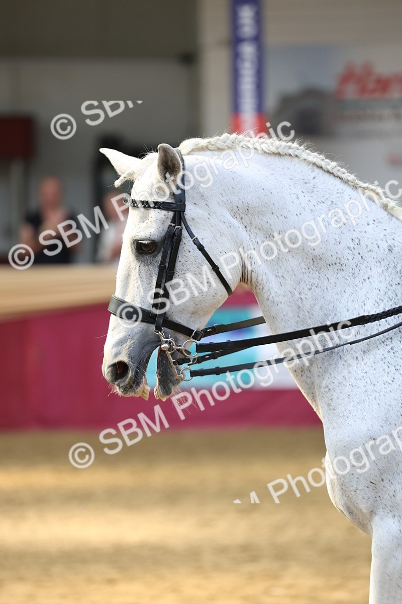 SBM_24143 - Class 905 - Supreme Final - Ridden Veteran