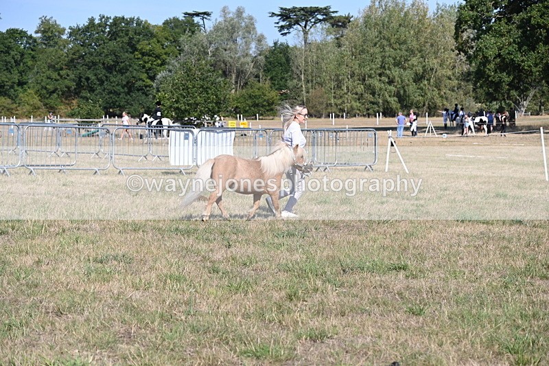 WJ6_7247 - Class 33 Rescue Pony
