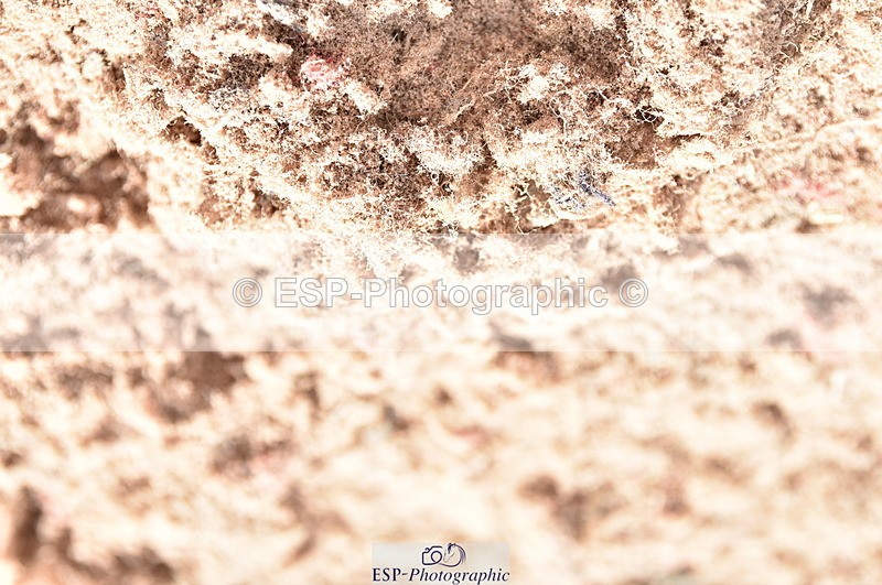 230812A-103448-09208 - Cls 27 85cm Amateur Qualifier