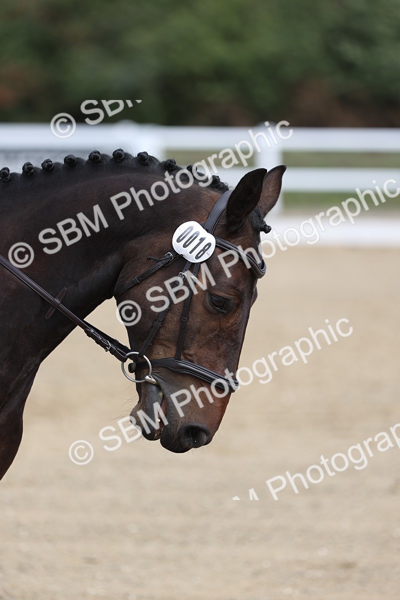SBM_001481 - Class 2 - Intro 4 Champs - 10.56-11.44