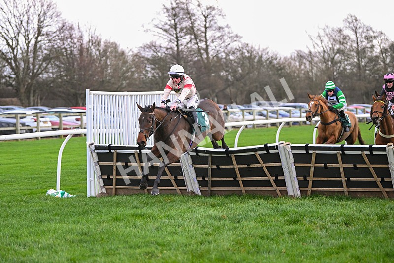 171224-Race 2-Bust A Move-3084 - Race 2