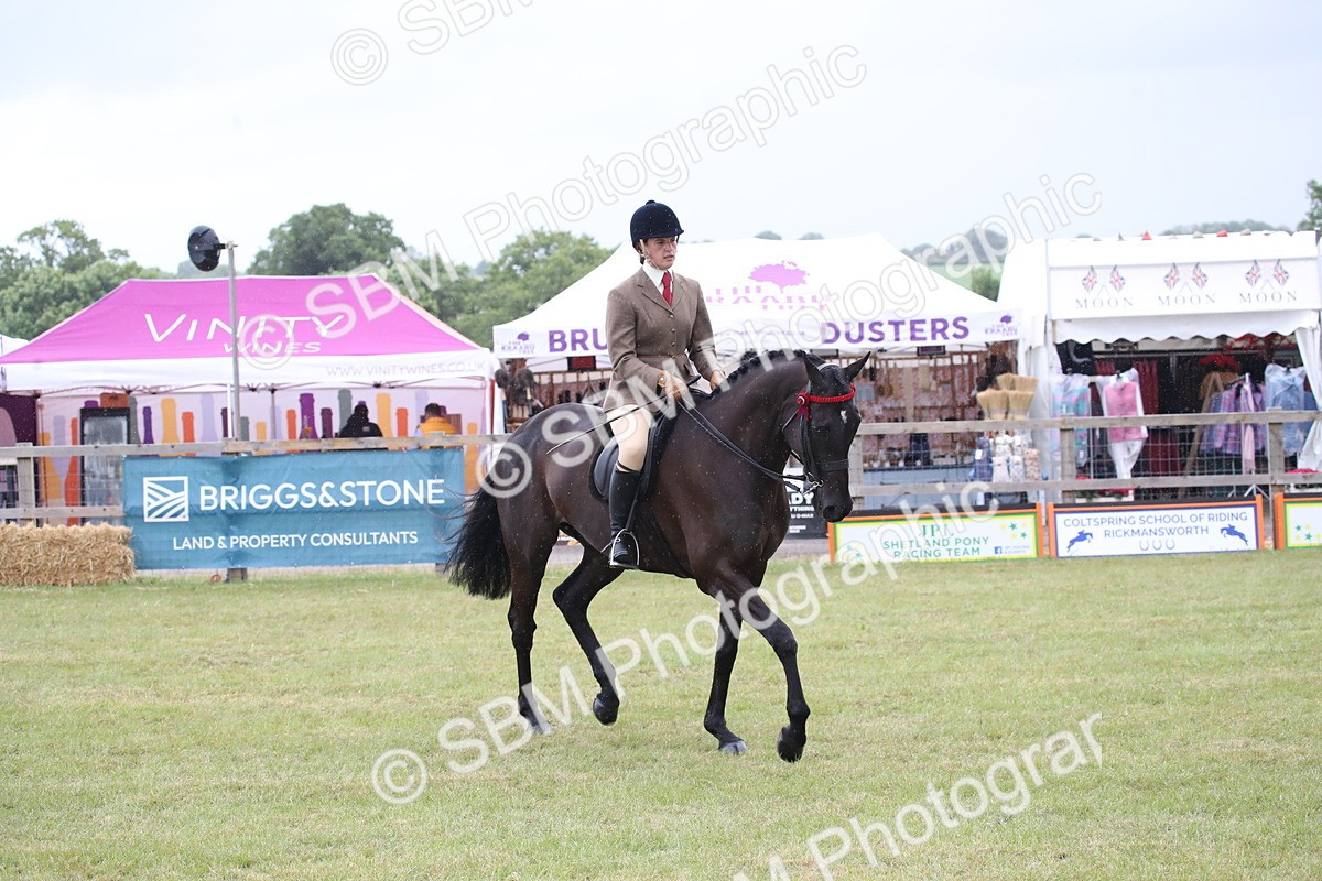SBM_11440 - Class 94 - LIHS BSHA Racehorse to Showhorse