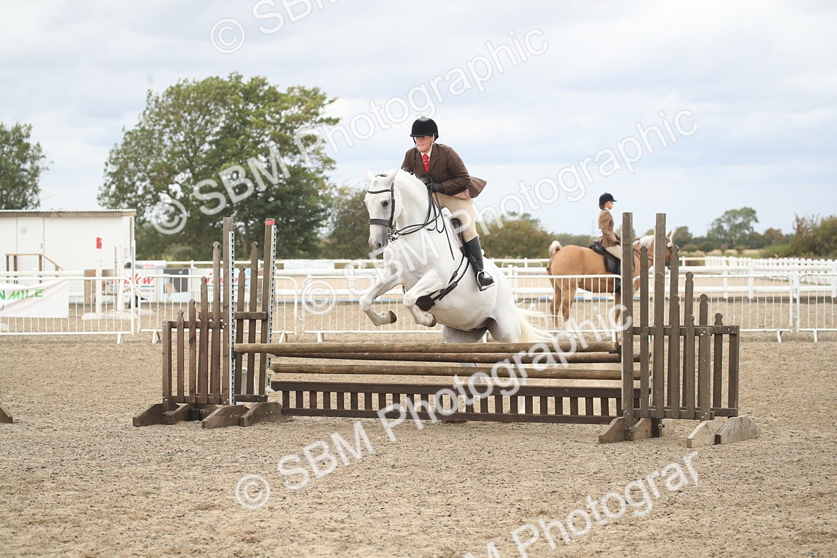 SBM_18269 - Class 509a - Working Veteran - 80cm (15-19)