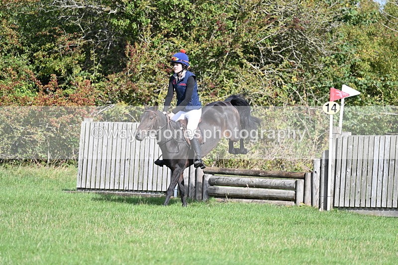 WJ7_8493 - 60cm Pairs