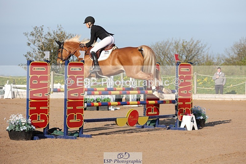 250427-083009-14495 - Cls 28 Young Horse 5yr old