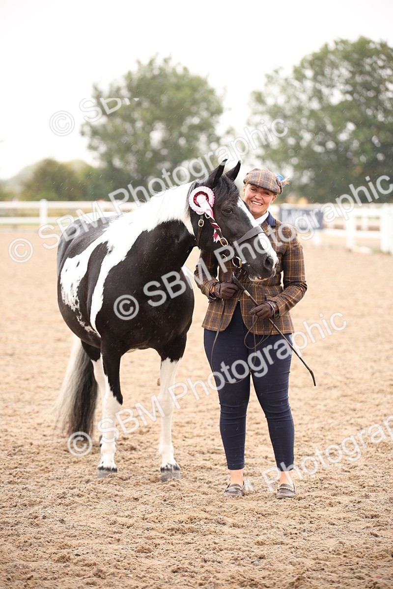 SBM_20231 - Class 703 - IH  Coloured