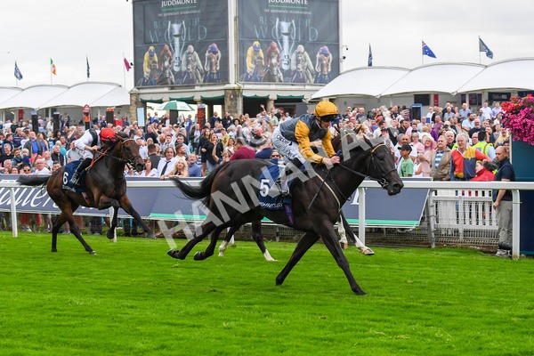 230823-Race 2-Indian Run-0342 - Race 2 2.25pm Tattersalls Acomb Stakes