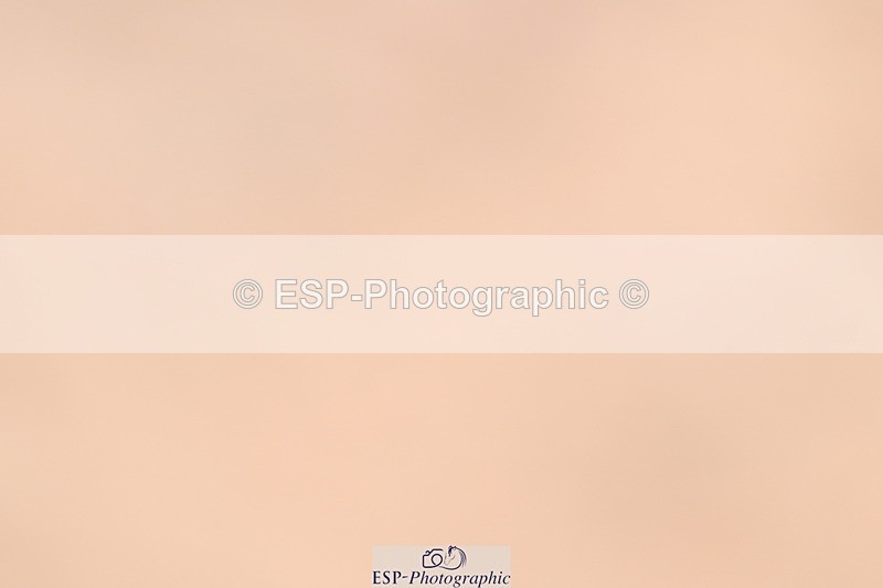 240623A-131730-18451 - Cls 3+4 Prelim 12+18