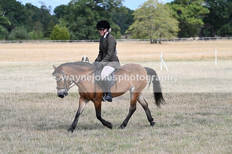 WJ7_6012 - Class 13 Ridden Veterans