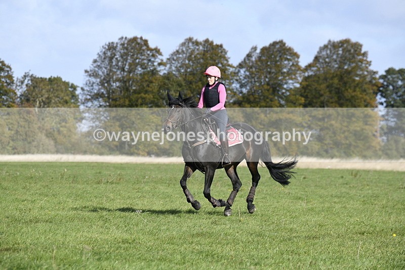 _DSC5118 - Time 10:27 to 10:48