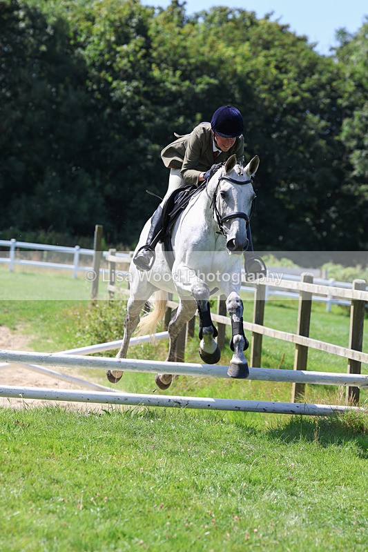 3E7A8588 - Class 5: Working Show Horse