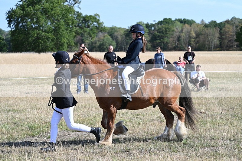 WJ7_3017 - Class 8 Ridden Tack & Turnout