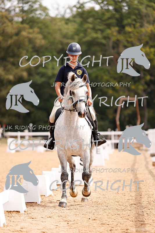 _R6A2744 - Dressage Morning